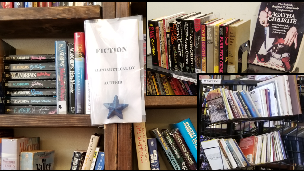 Used Books and Other Media | Books & More Bookstore – Friends of the  Trinidad Carnegie Public Library Bookstore