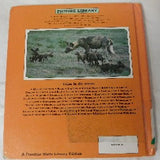 Wolves and Wild Dogs by Norman Barrett (HC, 1991) | Books & More Bookstore