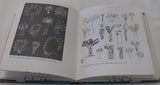 Analyzing Children's Art by Rhoda Kellogg (HC 1959) | Books & More Bookstore